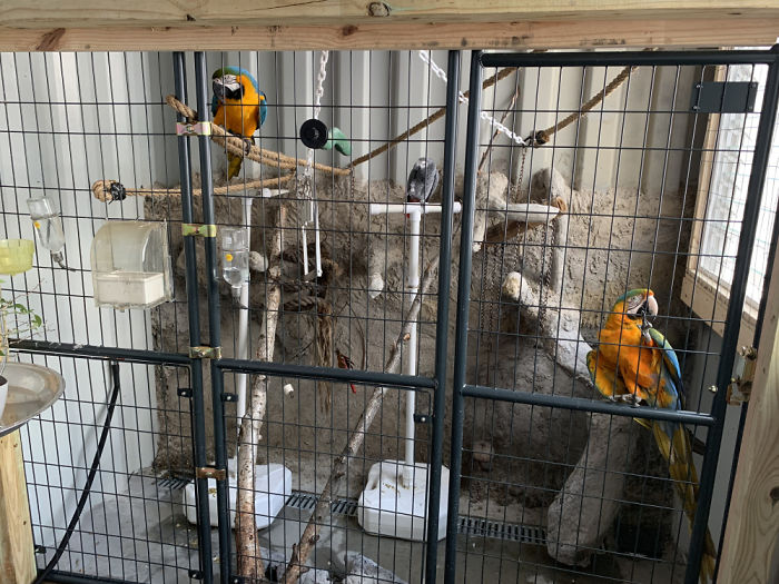 Rumah Nggak Biasa Ini Sepenuhnya Terbuat Dari Container Bekas